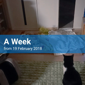 動画！！の画像