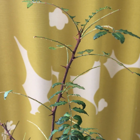 また大きくなったの画像