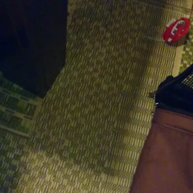 ハンティング出来た(*T^T)の画像