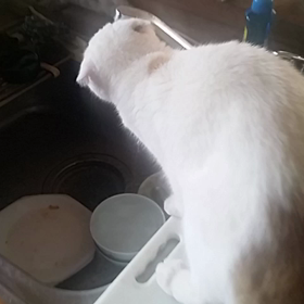 冷たいお水の画像