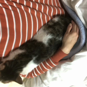 インターネット接続出来ず。ヨーカ堂でレジ遅い人。デールべったり。の画像