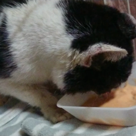 顔がだいぶ崩れてきてます・・の画像