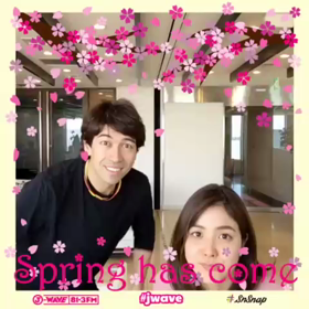 stepone813の画像