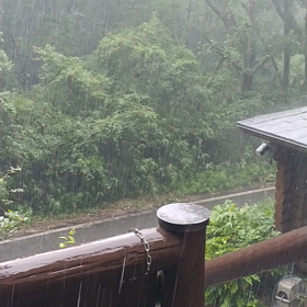 突然の☔にびっくりの画像