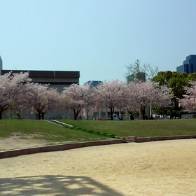 扇町公園(動画)の画像