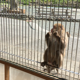 餌やり 息子編の画像