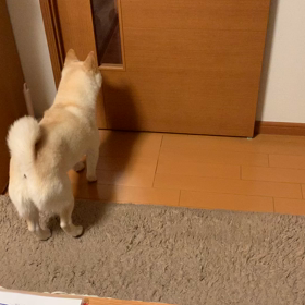 こんばんは！の画像