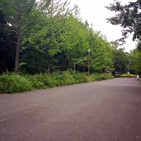 100m記録会 Cグループ④の画像