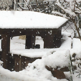 ”チョコレートを食べると健康に良いらしい”の画像