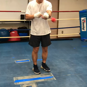 ろまちぇんこ？の画像