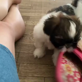 あらぶっているの画像