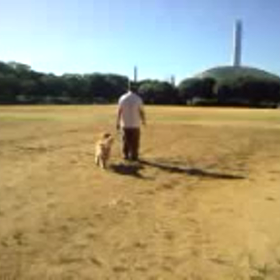 またまた動画の画像