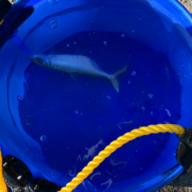 脱ボウズ地獄‼️の画像