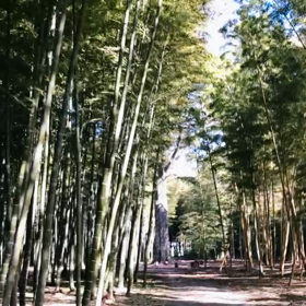 宇都宮で叶えるゆったりスローなファームウェディングの画像