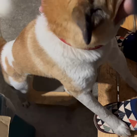 お疲れ様です。の画像