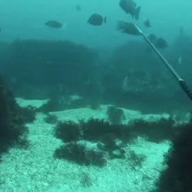 SUBDUED 魚突きキャンプ動画の画像