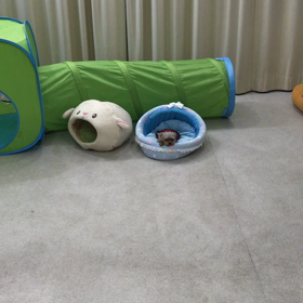 ♪プレイルーム動画♪④の画像