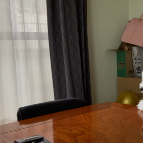 テレビを見る犬U^ェ^Uの画像