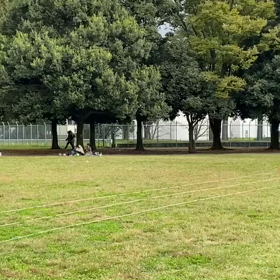 10月24日 リレー練習④の画像