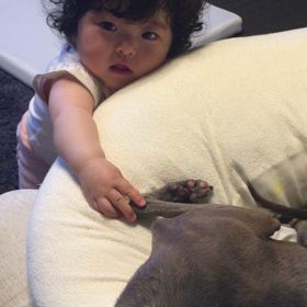 お喋り。の画像