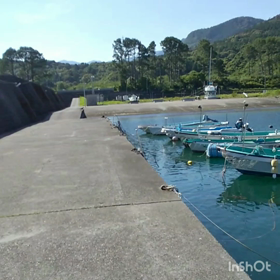 リアル海物語(先ほど撮影)の画像