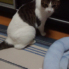 自分を大切にしなきゃの画像