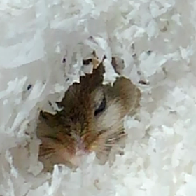 動画。第２弾。の画像