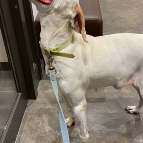 めっちゃ元気の画像