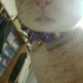 近いよ〜(๑⊙д⊙๑)‼の画像