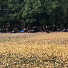 10色対抗リレーの画像