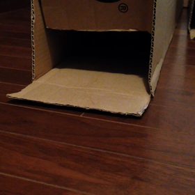 段ボールとねずみの画像