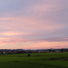 2023/07/31の画像