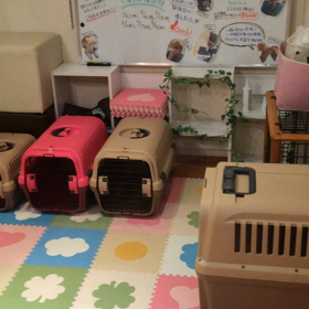 切ないおみくじの画像