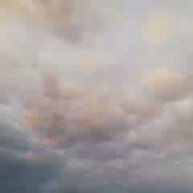 【今朝はカラスさんいないね】♡いつもありがとう♡の画像