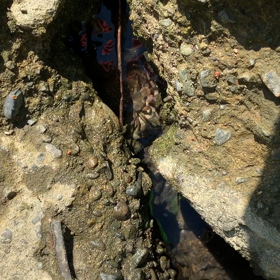 iPhone xs max と ハゼ釣りの画像