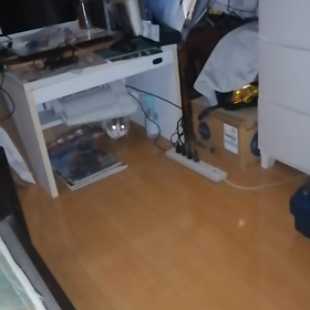 グレちゃんの後を着いて回るチャオくんの画像