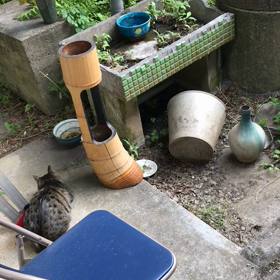 今日の、まるとアンの画像