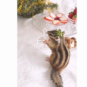 ももたろ2歳のBDパーティー♡の画像