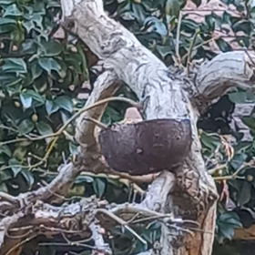 ボイトレに行ったのですが、、、の画像