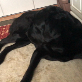 りきの要求の画像