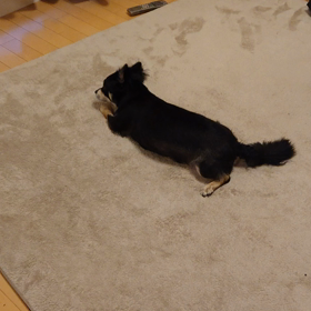 まいどまいどなぜ？の画像