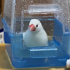 もみちゃんの1番お気に入りの場所の画像