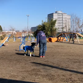 たまたまだったなかな？の画像