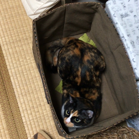 変化に気づくの画像