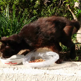 初対面の日の動画。の画像