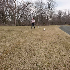 脚力の違いの画像