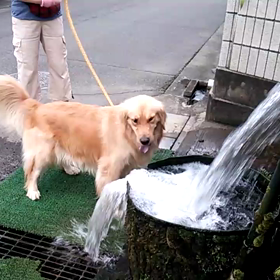 結の動画の画像