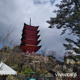 春だ！そろそろ旅行にも行きたいねの画像