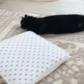 変態的動画⁈の画像