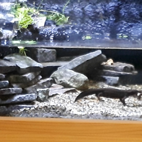 ミユキとミモリ✴️の画像